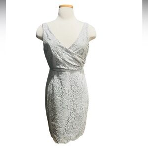 JCrew Sara Dress in Leavers Lace Silver/Gray Size 12 NWT